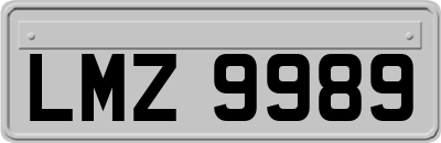 LMZ9989