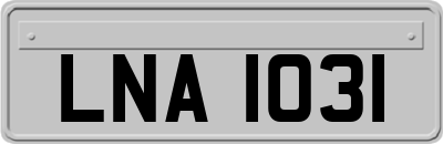 LNA1031