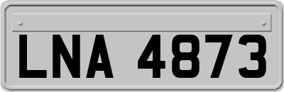 LNA4873