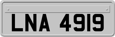 LNA4919