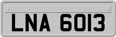 LNA6013