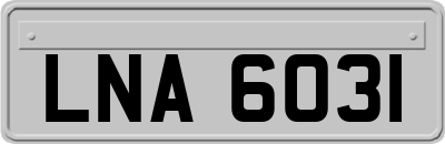 LNA6031
