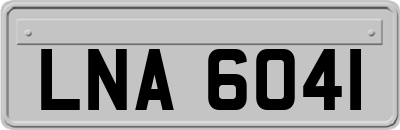 LNA6041