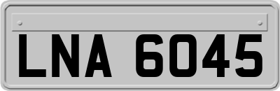 LNA6045