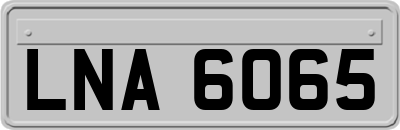 LNA6065