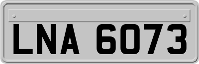 LNA6073