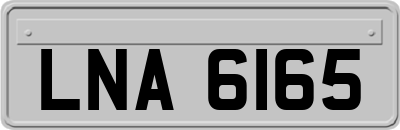 LNA6165
