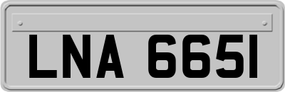 LNA6651