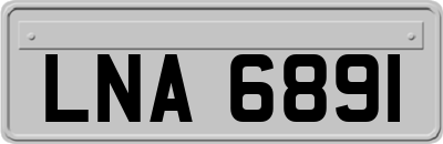 LNA6891
