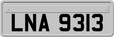 LNA9313