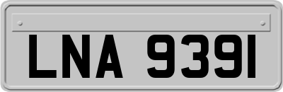 LNA9391