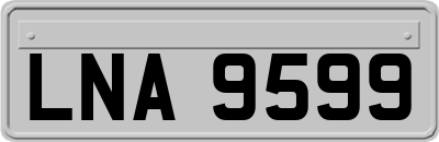 LNA9599