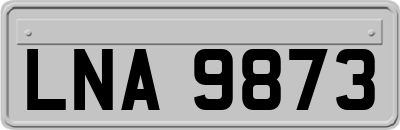 LNA9873
