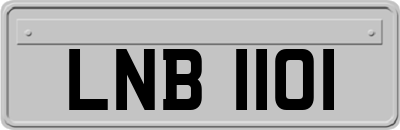 LNB1101