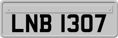 LNB1307