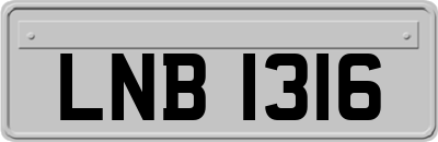 LNB1316