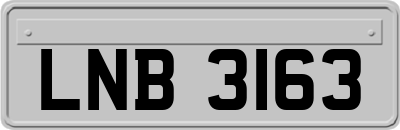 LNB3163