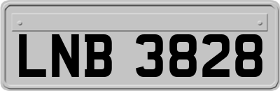 LNB3828