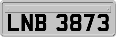 LNB3873