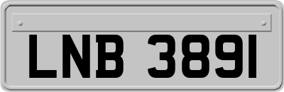 LNB3891