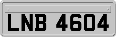 LNB4604