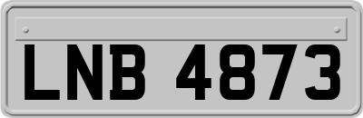 LNB4873