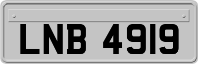 LNB4919