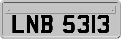 LNB5313
