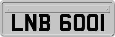 LNB6001