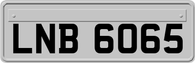 LNB6065