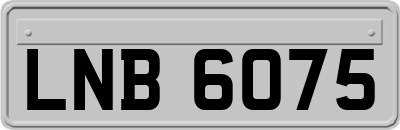 LNB6075