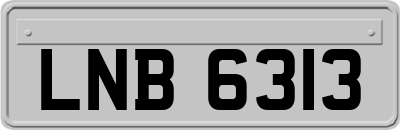 LNB6313
