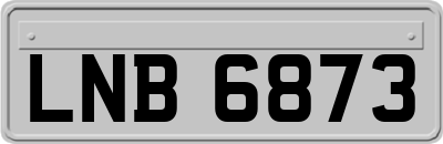 LNB6873
