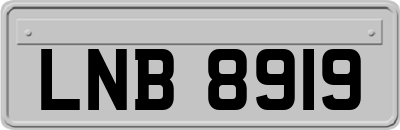 LNB8919