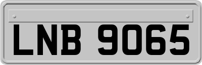 LNB9065