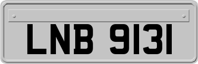 LNB9131