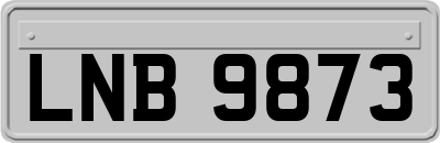 LNB9873