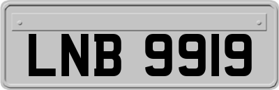 LNB9919