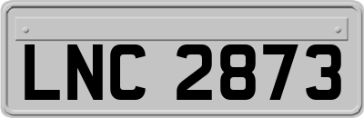 LNC2873