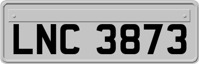 LNC3873