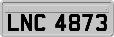 LNC4873