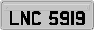 LNC5919