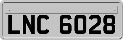 LNC6028