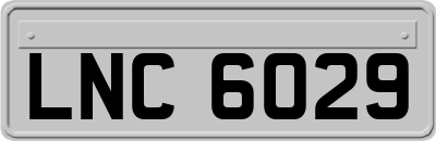 LNC6029