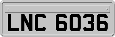 LNC6036
