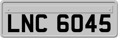 LNC6045
