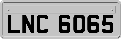 LNC6065