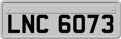 LNC6073