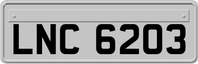 LNC6203