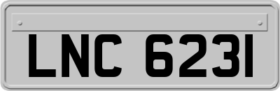 LNC6231